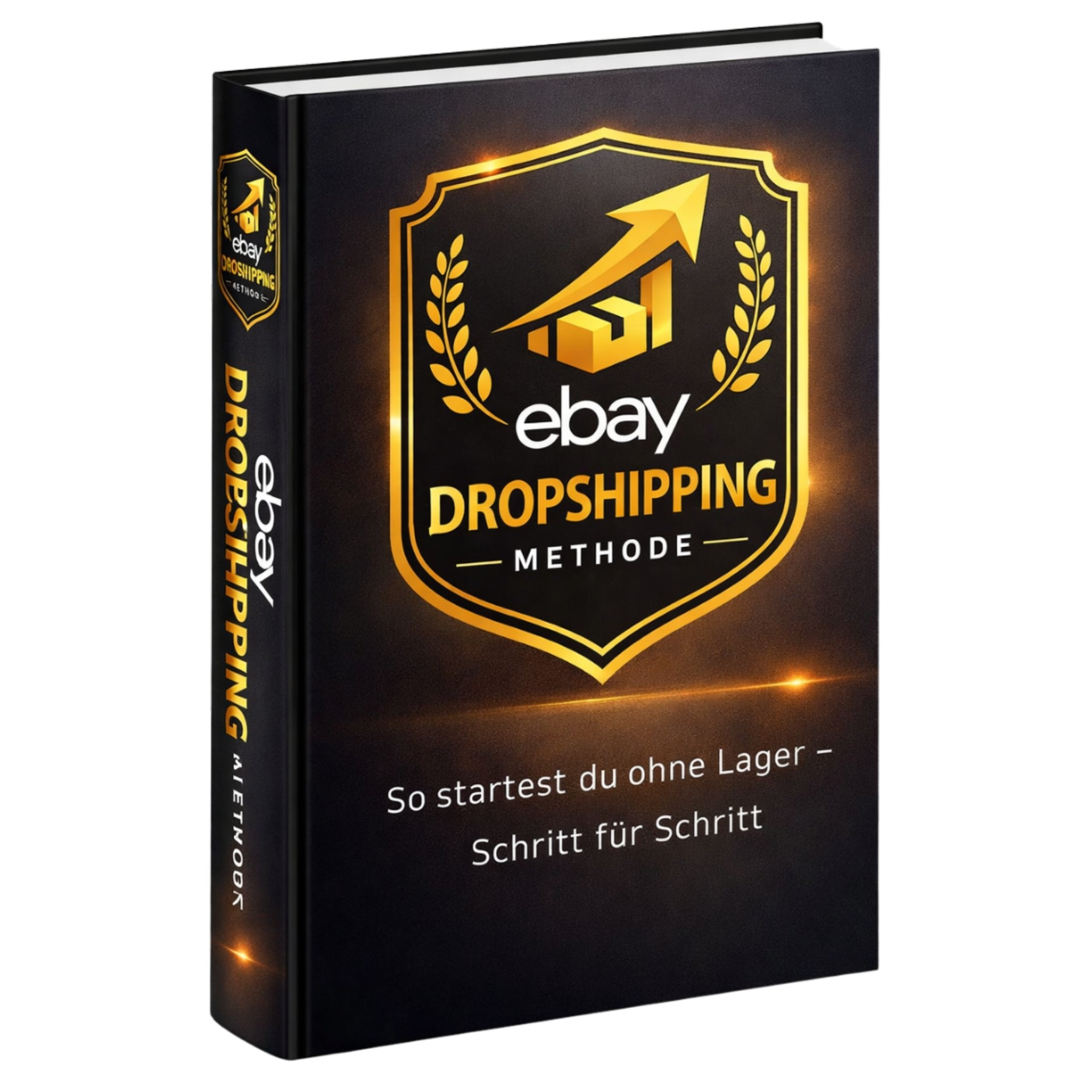 eBay Dropshipping Methode